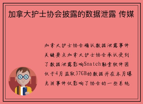加拿大护士协会披露的数据泄露 传媒